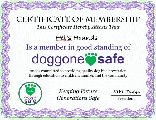 A purple and green bordered certificate attesting the membership and good standing of Hel’s Hounds with doggone safe